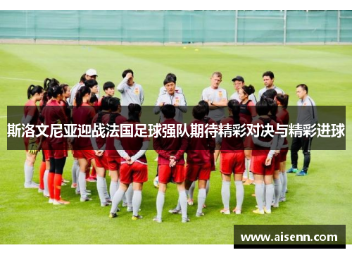 斯洛文尼亚迎战法国足球强队期待精彩对决与精彩进球